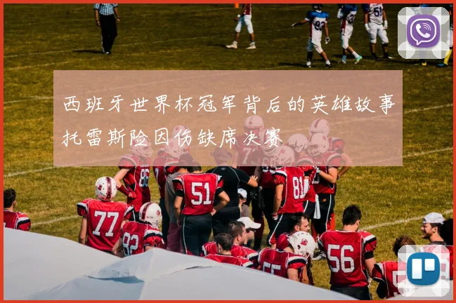 西班牙世界杯冠军背后的英雄故事托雷斯险因伤缺席决赛